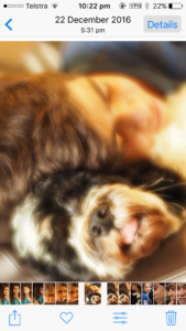Boy hugs dog